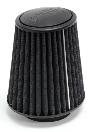 Banks Power 07-15 Jeep 3.8/3.6L Wrangler Ram Air System Air Filter Element - Dry Popular
