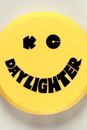 Best Price KC HiLiTES 6in. Round Hard Cover for Daylighter/SlimLite/Pro-Sport (Single) - Yellow w/Black Smile