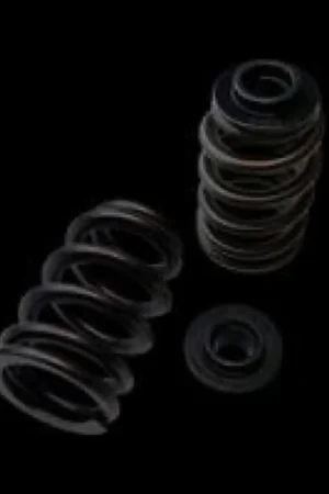 Brian Crower Polaris XP1000/XPTurbo/XP900 Beehive Spring/Steel Retaine — PMD Premier Motoring Development Top Pick