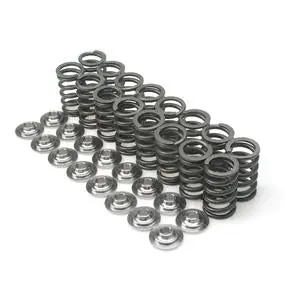 Brian Crower Honda/Acura B18A/B18B/B20B Dual Valve Springs — PMD Premier Motoring Development Free Returns