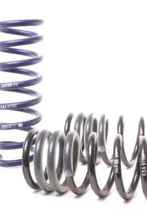 H&R 09-15 BMW 750i F01 Super Sport Spring (w/o Self-Leveling) — PMD Premier Motoring Development Authentic