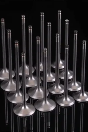 Save Now Skunk2 Ultra Series Honda/Acura Stock Size K Series VTEC Valve Set (ST — PMD Premier Motoring Development