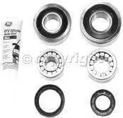 STONE GUARD Order Now