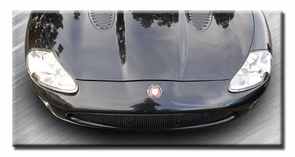 Stealth Black One Piece Mesh Grille Limited Edition