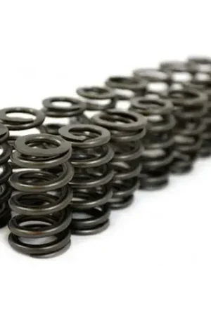 Worldwide Shipping GSC Power Division Single Beehive Valve Spring Set (Evo 4-9)
