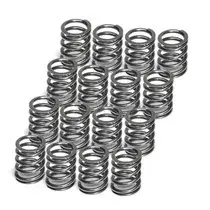 Authentic Supertech Toyota 4AGE 16V Dual Valve Spring - Set of 16