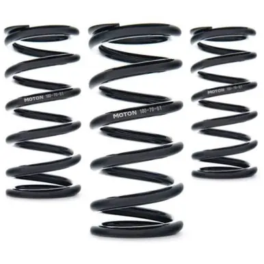 AST Linear Race Springs - 180mm Length x 95 N/mm Rate x 61mm ID - Set of 2 - AST-180-95-61 Place Order