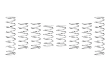 Worldwide Shipping Eibach 2022 Polaris RZR Pro R PRO-UTV Stage 2 Spring system - E85-209-027-02-22