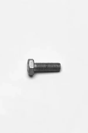 Bolts - 230-10954 Trending