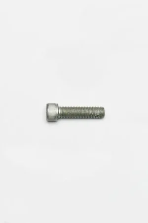 Bolts - 230-13690 Must Have