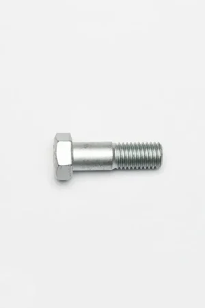 Get Yours Bolts - 230-15145