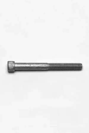 Bolts - 230-8211 Trending